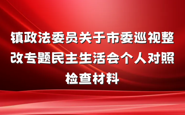 镇政法委员关于市委巡视整改专题民主生活会个人对照检查材料