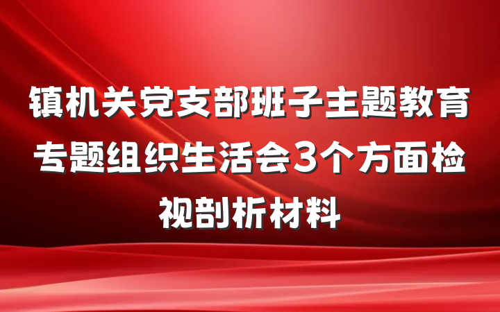 镇机关党支部班子主题教育专题组织生活会3个方面检视剖析材料