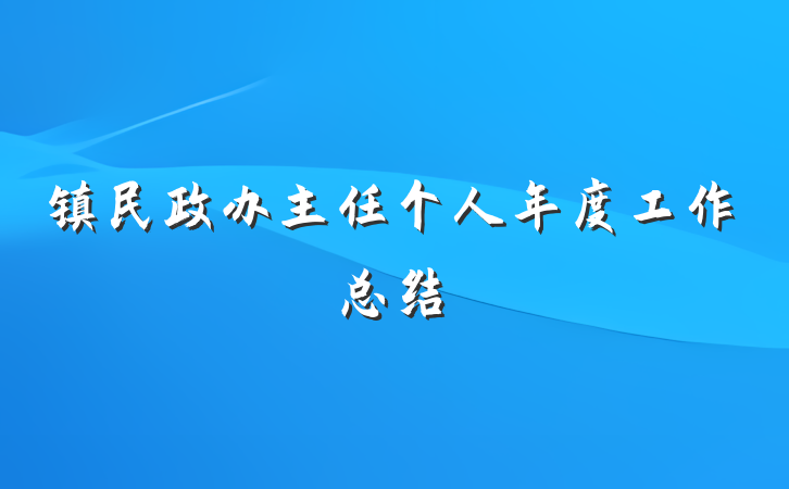 镇民政办主任个人年度工作总结