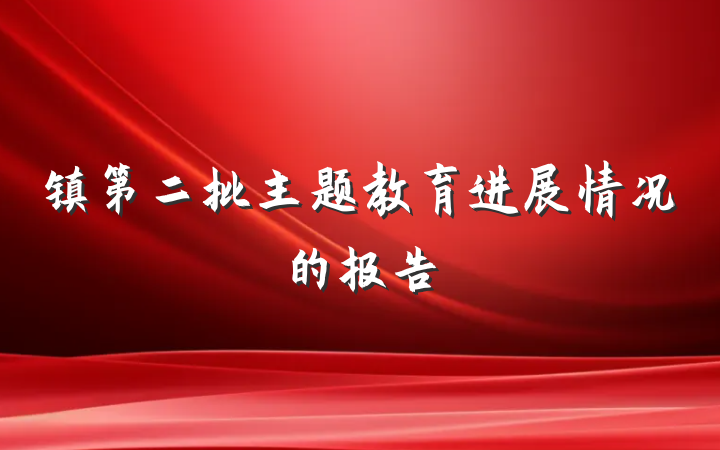 镇第二批主题教育进展情况的报告