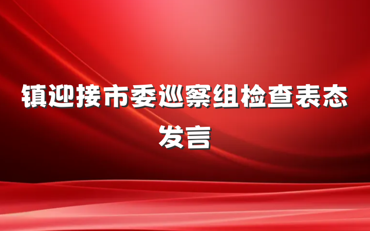 镇迎接市委巡察组检查表态发言