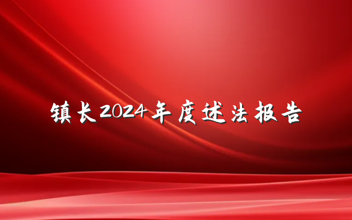 镇长2024年度述法报告