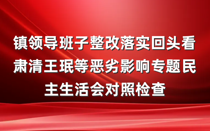 镇领导班子整改落实回头看肃清王珉等恶劣影响专题民主生活会对照检查