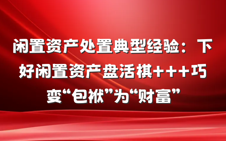 闲置资产处置典型经验：下好闲置资产盘活棋   巧变“包袱”为“财富”