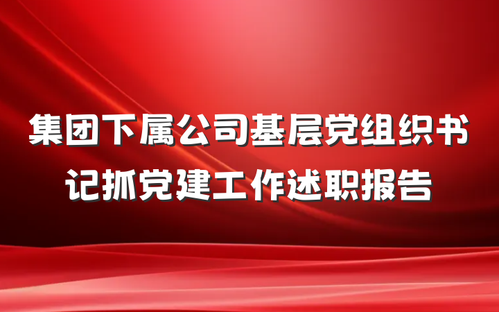 集团下属公司基层党组织书记抓党建工作述职报告