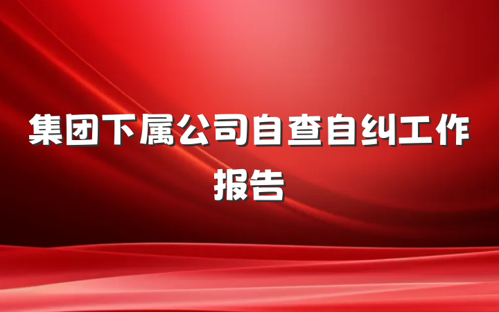 集团下属公司自查自纠工作报告