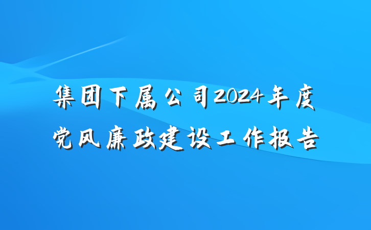 集团下属公司2024年度党风廉政建设工作报告