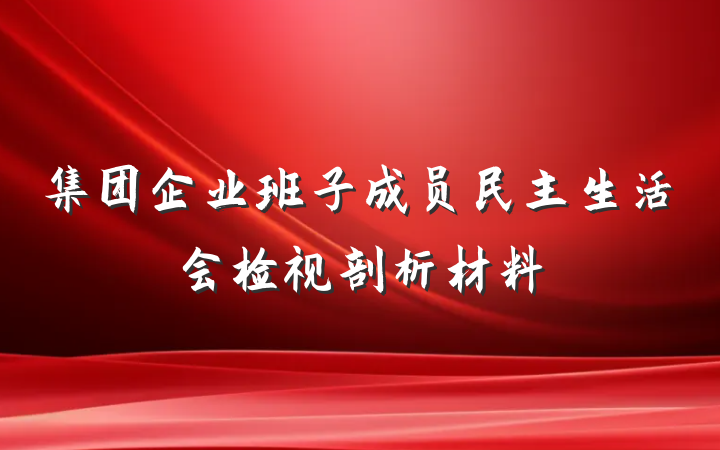 集团企业班子成员民主生活会检视剖析材料