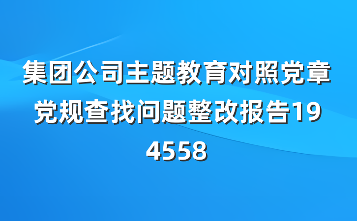 集团公司主题教育对照党章党规查找问题整改报告194558