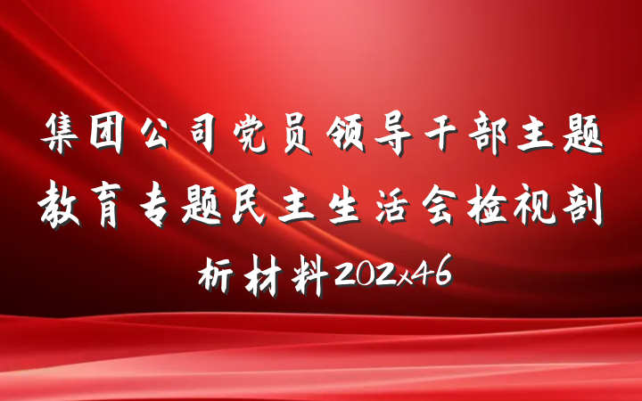 集团公司党员领导干部主题教育专题民主生活会检视剖析材料202x46