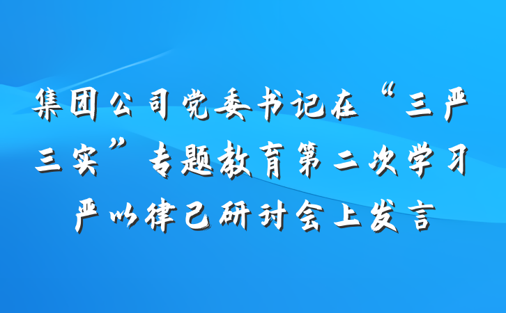 集团公司党委书记在“三严三实”专题教育第二次学习严以律己研讨会上发言