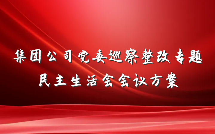 集团公司党委巡察整改专题民主生活会会议方案