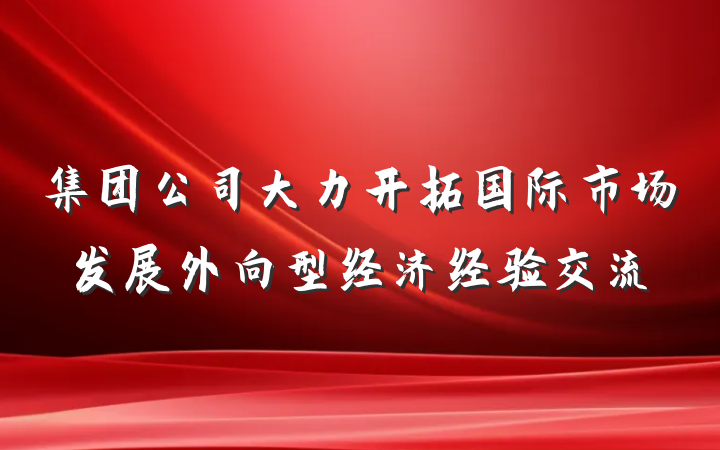 集团公司大力开拓国际市场发展外向型经济经验交流