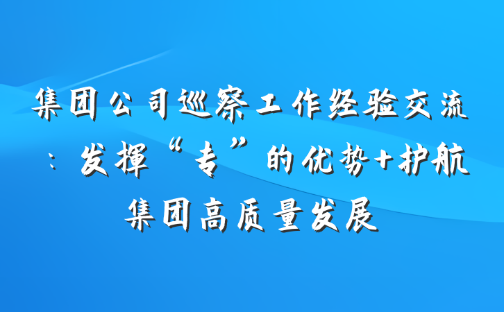 集团公司巡察工作经验交流：发挥“专”的优势 护航集团高质量发展