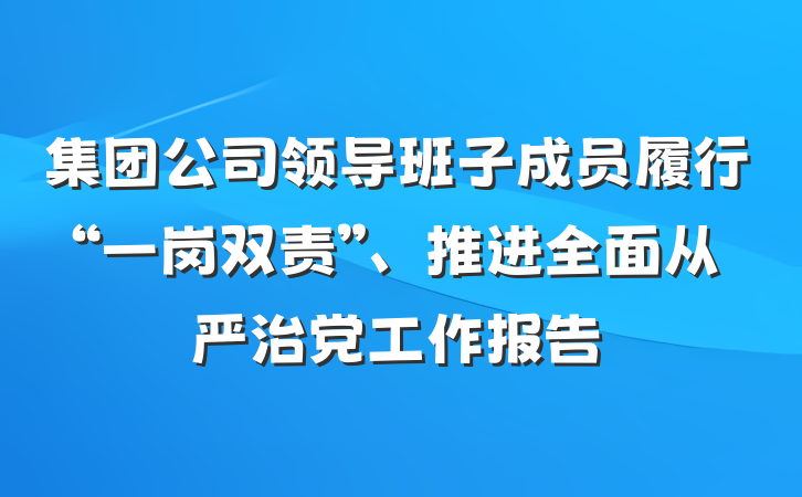 集团公司领导班子成员履行“一岗双责”、推进全面从严治党工作报告