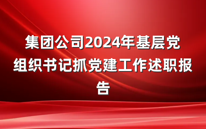 集团公司2024年基层党组织书记抓党建工作述职报告