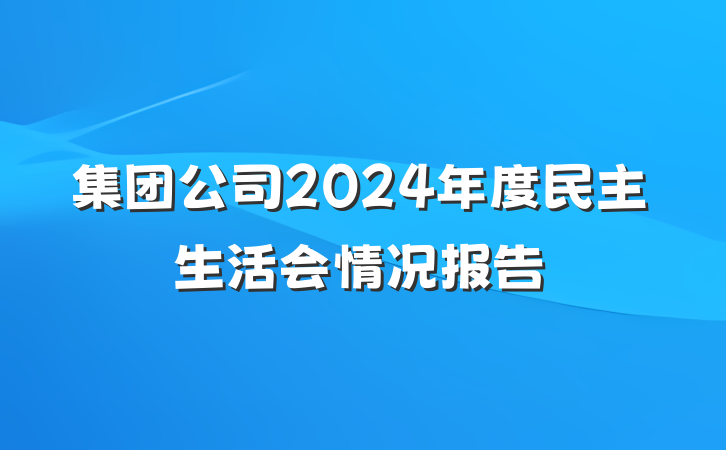 集团公司2024年度民主生活会情况报告