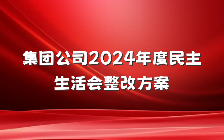 集团公司2024年度民主生活会整改方案