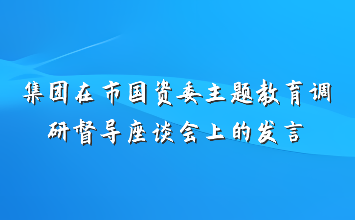 集团在市国资委主题教育调研督导座谈会上的发言
