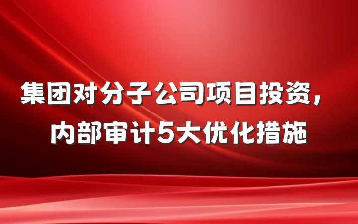集团对分子公司项目投资，内部审计5大优化措施