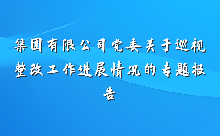 集团有限公司党委关于巡视整改工作进展情况的专题报告