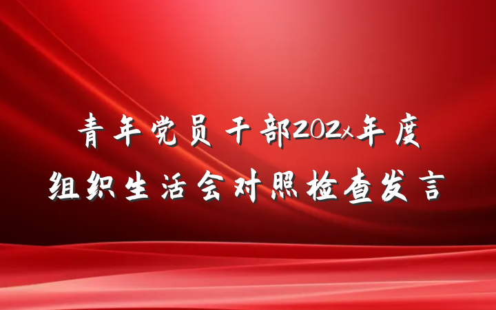 青年党员干部202x年度组织生活会对照检查发言