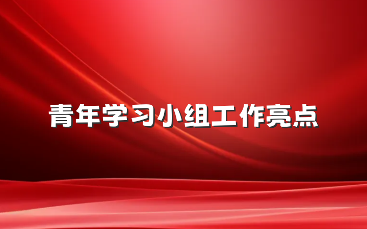青年学习小组工作亮点