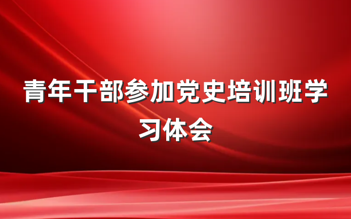 青年干部参加党史培训班学习体会