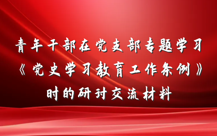 青年干部在党支部专题学习《党史学习教育工作条例》时的研讨交流材料
