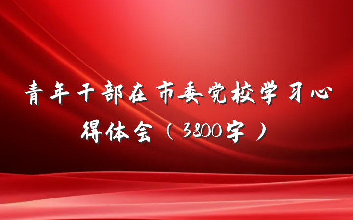 青年干部在市委党校学习心得体会（3800字）