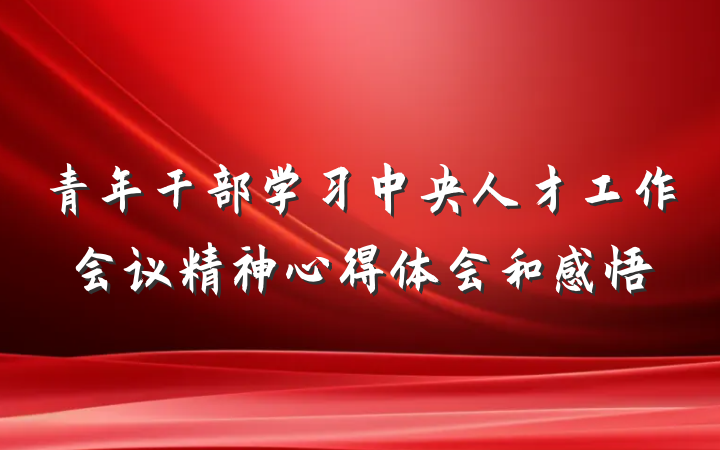 青年干部学习中央人才工作会议精神心得体会和感悟