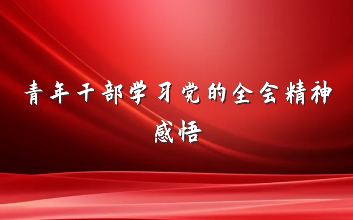 青年干部学习党的全会精神感悟