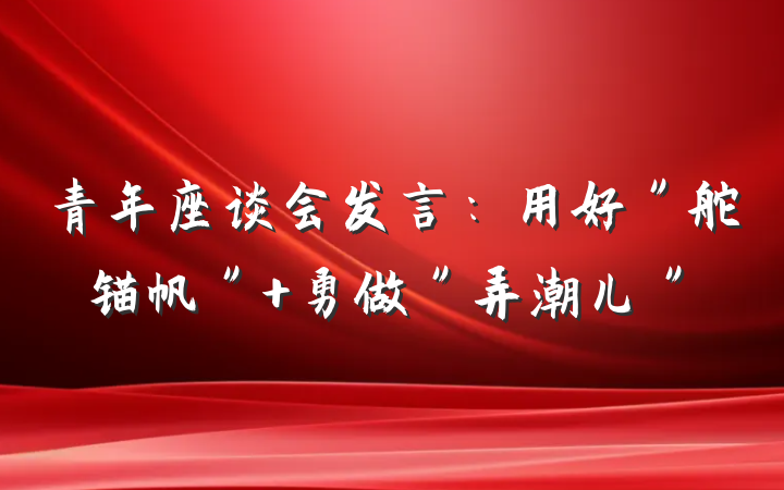 青年座谈会发言：用好＂舵锚帆＂ 勇做＂弄潮儿＂
