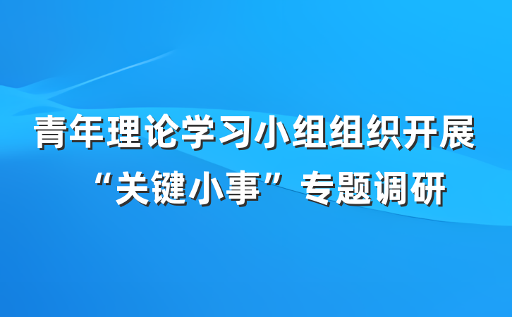 青年理论学习小组组织开展“关键小事”专题调研