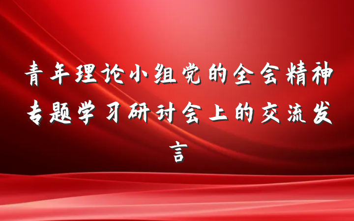 青年理论小组党的全会精神专题学习研讨会上的交流发言