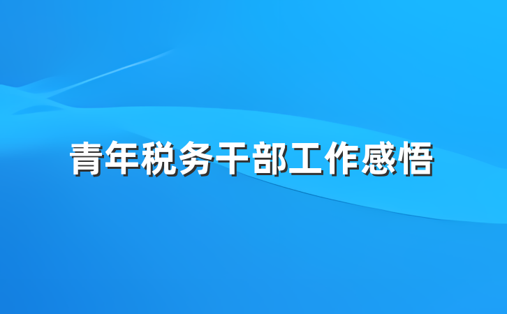青年税务干部工作感悟