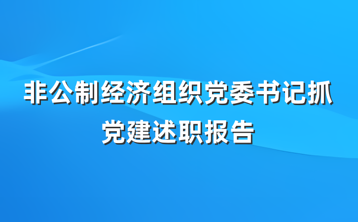 非公制经济组织党委书记抓党建述职报告