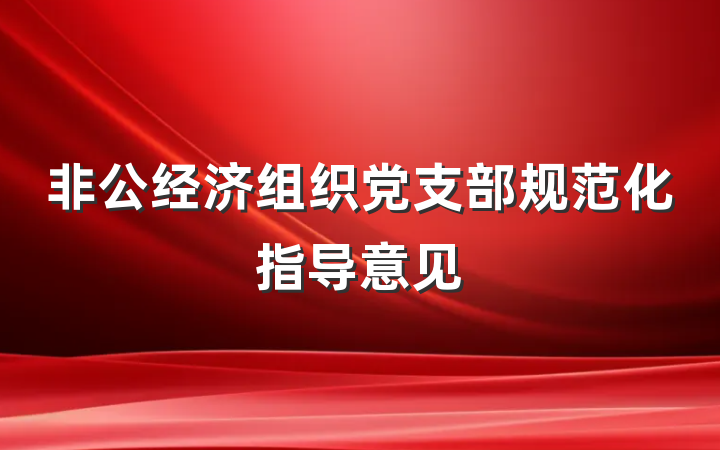 非公经济组织党支部规范化指导意见