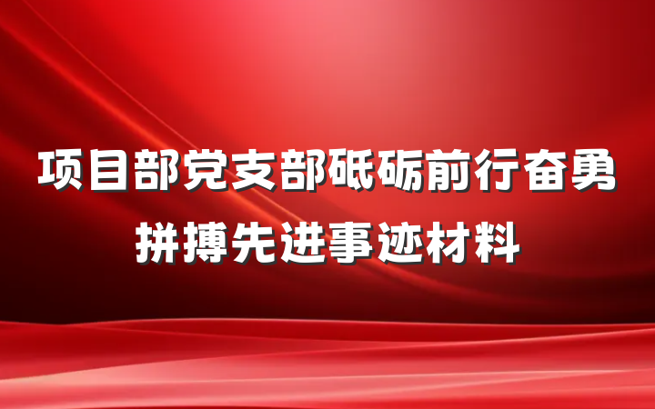 项目部党支部砥砺前行奋勇拼搏先进事迹材料