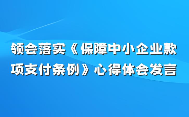 领会落实《保障中小企业款项支付条例》心得体会发言