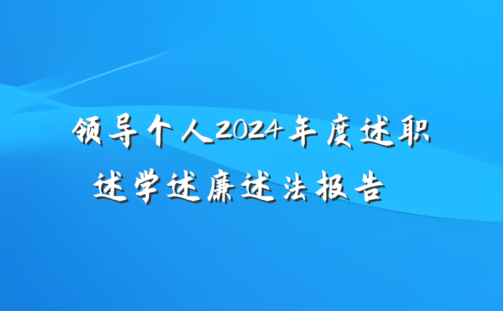 领导个人2024年度述职述学述廉述法报告‌