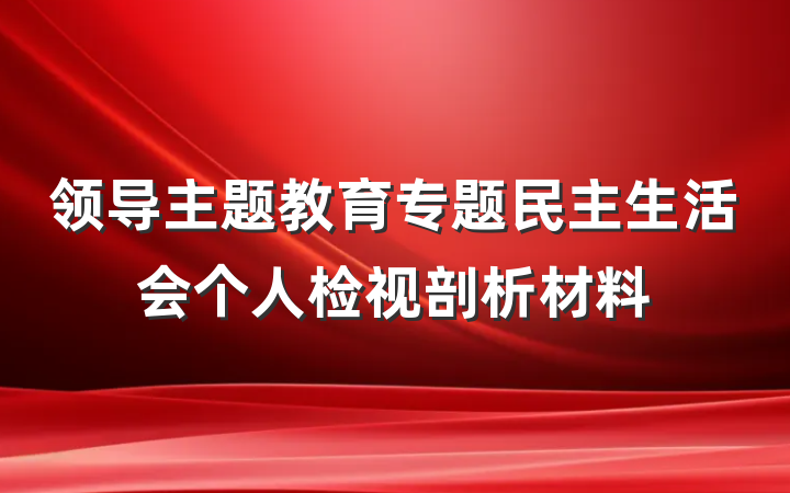 领导主题教育专题民主生活会个人检视剖析材料
