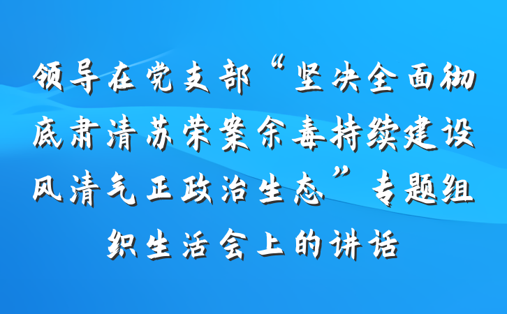 领导在党支部“坚决全面彻底肃清苏荣案余毒持续建设风清气正政治生态”专题组织生活会上的讲话