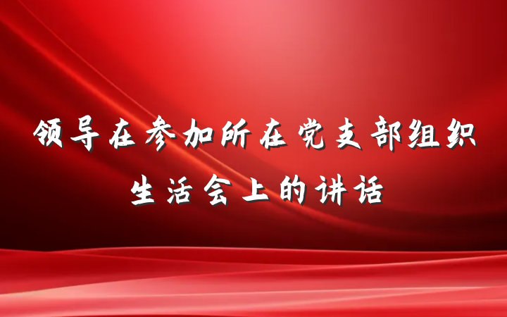 领导在参加所在党支部组织生活会上的讲话