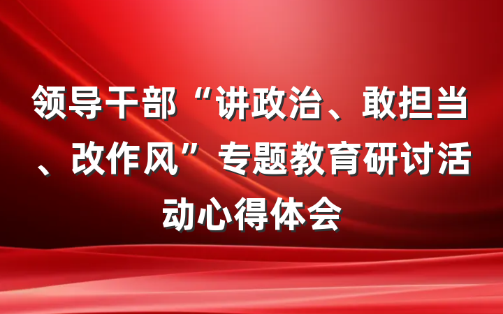 领导干部“讲政治、敢担当、改作风”专题教育研讨活动心得体会