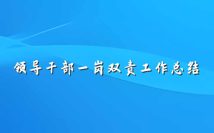 领导干部一岗双责工作总结