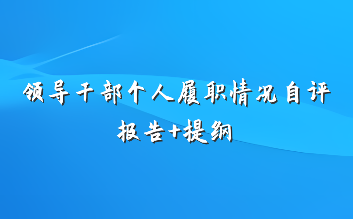 领导干部个人履职情况自评报告 提纲