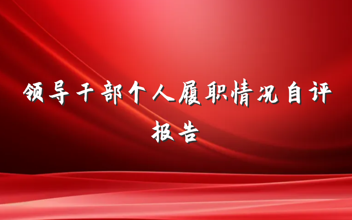领导干部个人履职情况自评报告