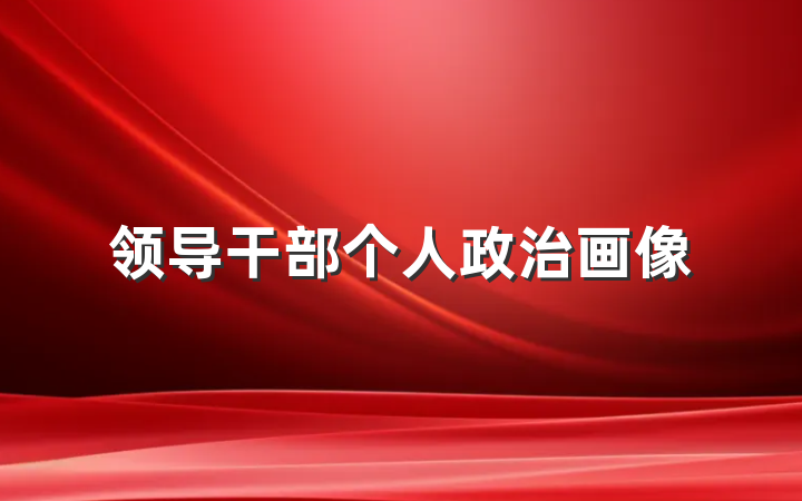 领导干部个人政治画像