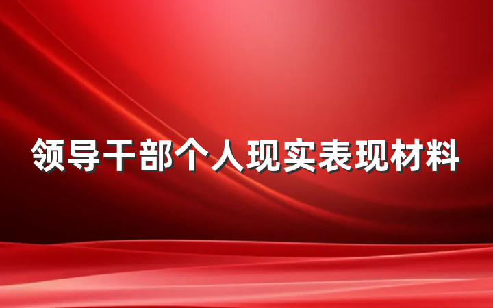 领导干部个人现实表现材料